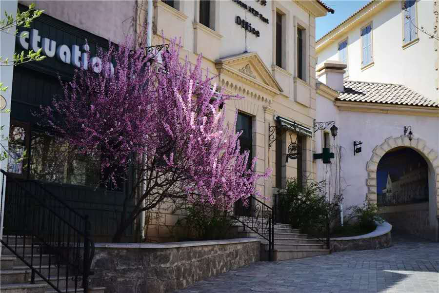 【紅酒文化】張裕愛斐堡國際酒莊休閑主題1日團建
