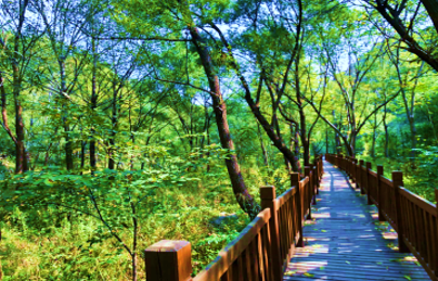 【奔跑吧彩虹】水長城彩虹跑1日休閑團建