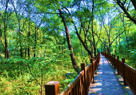 【峽谷穿越】黃花城水長(zhǎng)城~京北大峽谷1日員工團(tuán)建