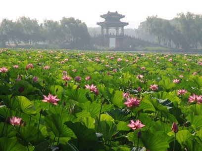 【景區游覽&最強戰隊】頤和園半日團建