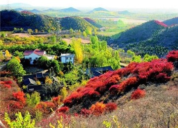 【行走的力量】舞彩淺山18公里徒步
