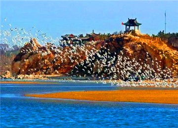 北戴河 聞名中外的旅游度假勝地 風情2日游