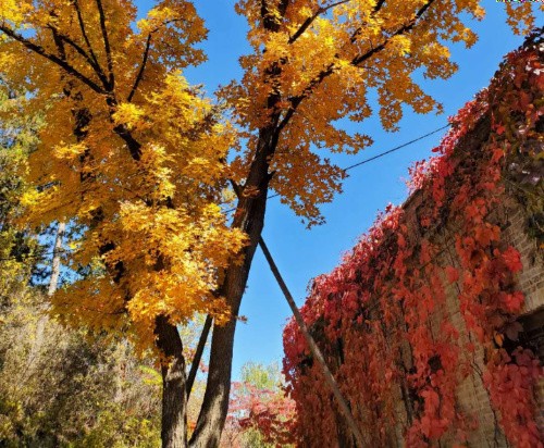 【公司旅游】網(wǎng)紅打卡地--古北水鎮(zhèn)1日游