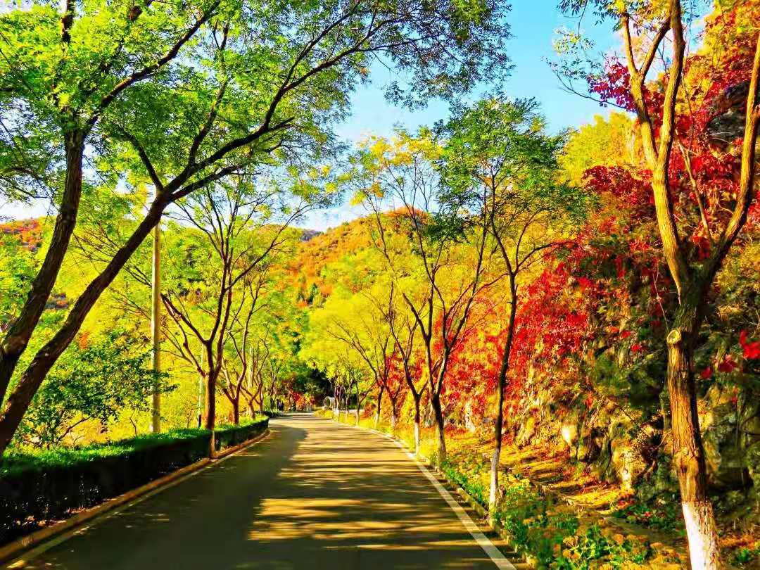 【團隊預定】霧靈山莊-會議-年會-團建