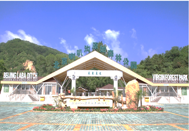 【團隊預定】白樺林賓館-喇叭溝門-會議-團建