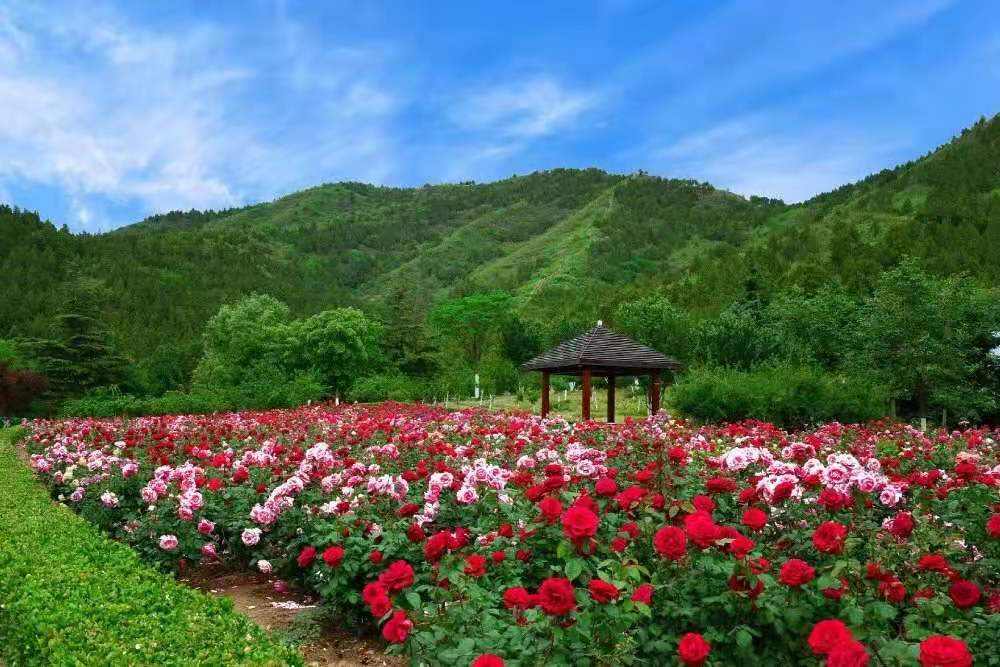 【團隊預定】年會酒店-北京中國石化會議中心-會議-年會-團建