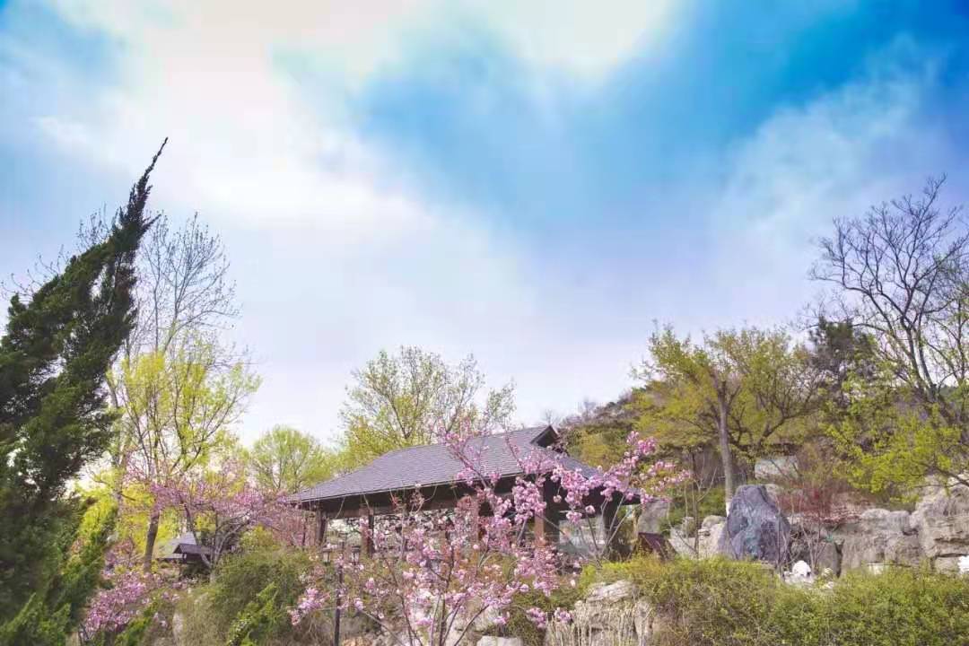 【團隊預定】北京金隅鳳山溫泉度假村-會議-年會-團建