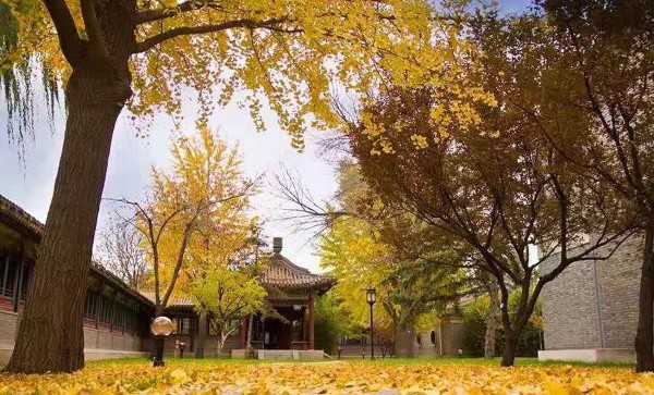 【團(tuán)隊(duì)預(yù)定】北京龍泉賓館-會(huì)議-年會(huì)-團(tuán)建