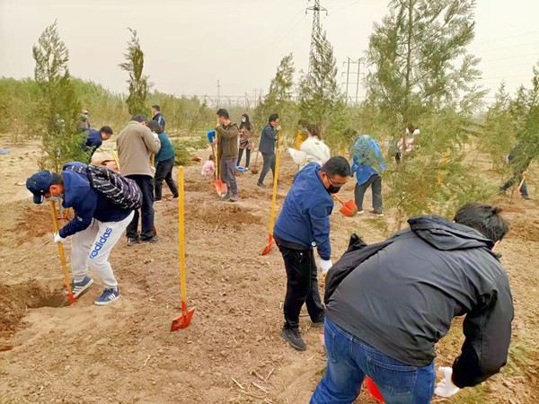 【植樹活動】平谷植樹-石林峽郊游主題活動-植樹節活動
