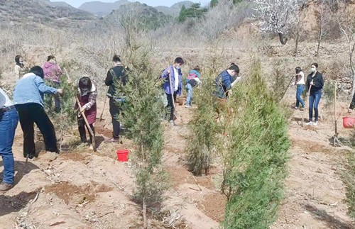 【植樹活動】房山植樹-周口店遺址博物館主題活動-植樹節活動