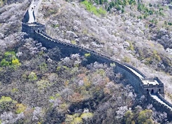 春游團建必選-慕田峪長城-踏青賞花1日主題團建