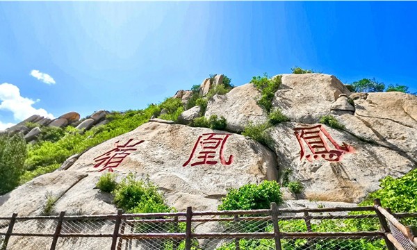 春游團建NO.8-踏青賞花-北京鳳凰嶺-手機互聯網-最強戰隊1日主題團建