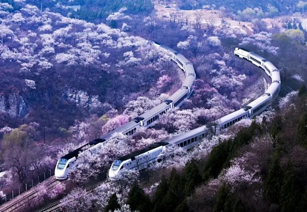 春游團建必選-開往春天的列車-花海列車（居庸關）-手機互聯網-最強戰隊1日團隊踏青主題團建
