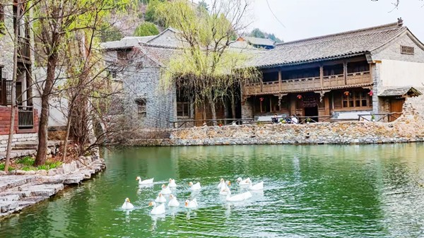 春游團建NO.2-踏青賞花-古北水鎮-探秘尋寶-北京團建-公司團建-北京周邊團建-京郊團建
