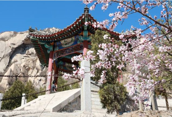 春游團建NO.8-踏青賞花-北京鳳凰嶺-手機互聯網-最強戰隊1日主題團建