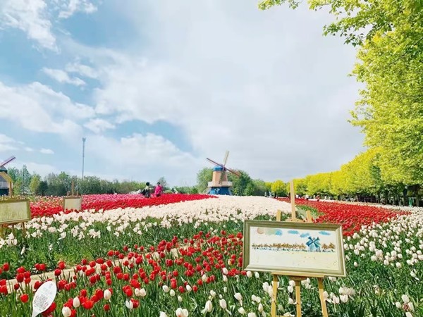 春游團建必選-踏青賞花-北京鮮花港-探索之旅-1日凝聚力主題團建