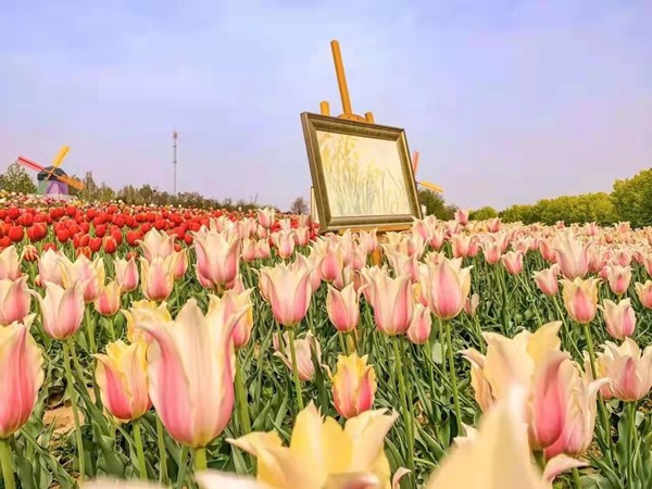 春游團建必選-踏青賞花-北京鮮花港-探索之旅-1日凝聚力主題團建