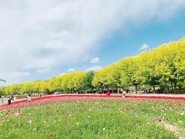 春游團建必選-踏青賞花-北京鮮花港-探索之旅-1日凝聚力主題團建
