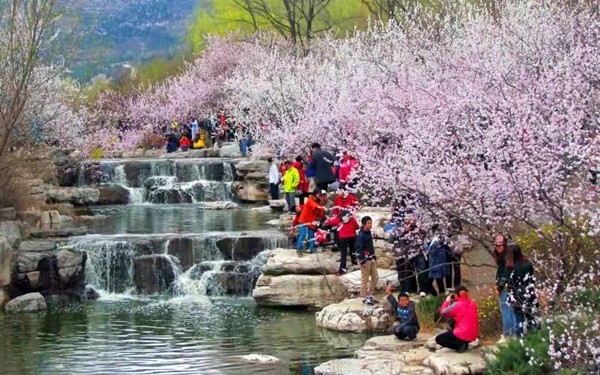 春游團建必選-踏青賞花-北京植物園-手機互聯(lián)網(wǎng)-最強戰(zhàn)隊主題團建