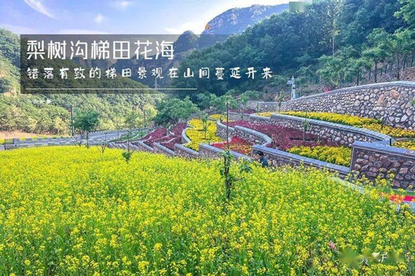 #熱門團(tuán)建+#梨樹溝休閑小鎮(zhèn)+#網(wǎng)紅山地滑車+#石林峽360°觀景平臺(tái)+#七彩池+#最受歡迎的團(tuán)建之一