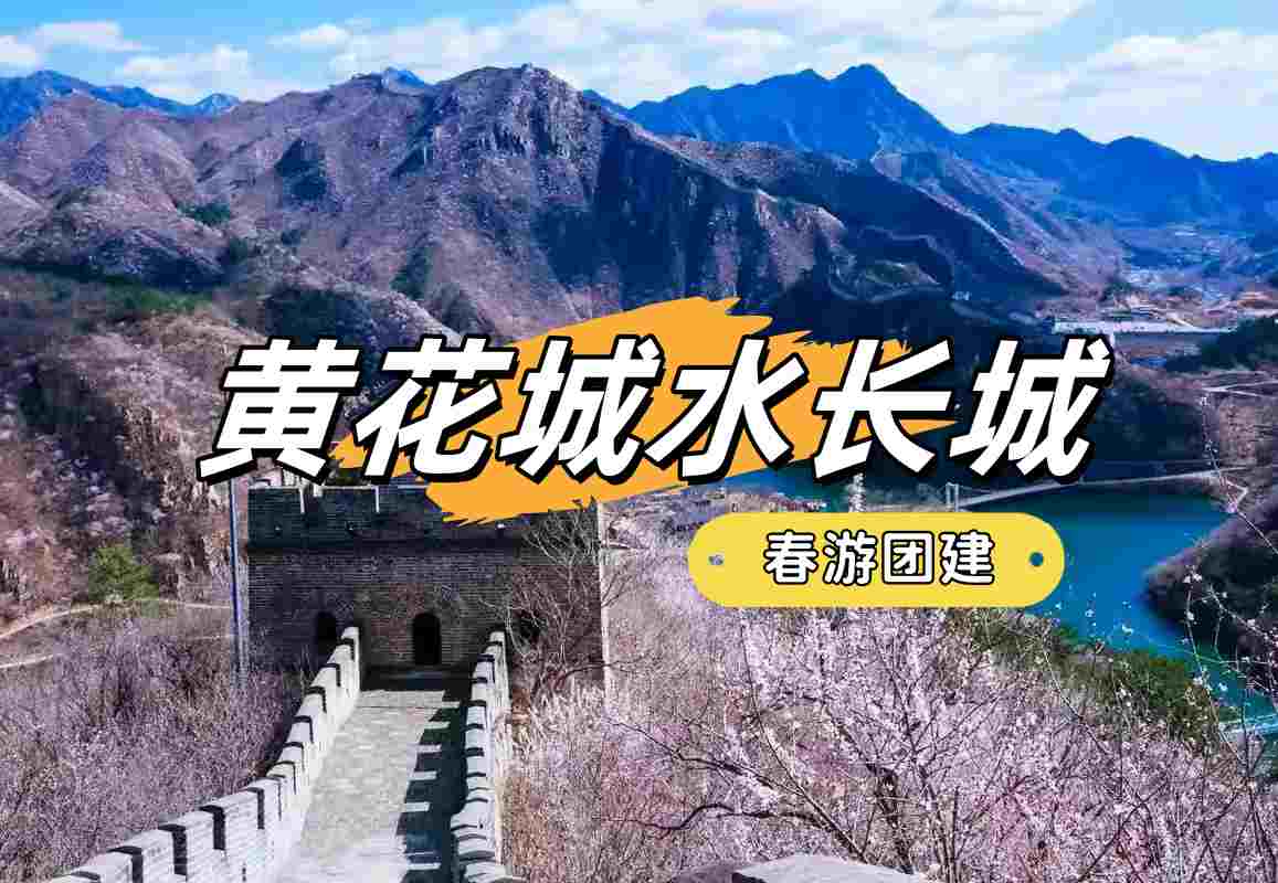 春游團建必選-踏青賞花-黃花城水長城-手機互聯網-最強戰隊-1日主題團建